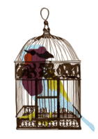 cagedbird.jpg